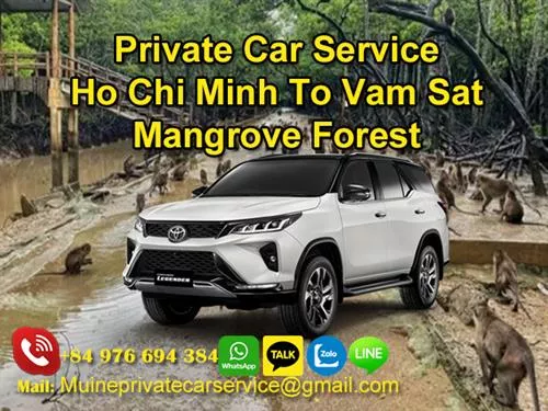 Private Car From Ho Chi Minh To Vam Sat Mangrove Forest