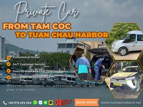 Tam Coc to Tuan Chau Harbor Private Car