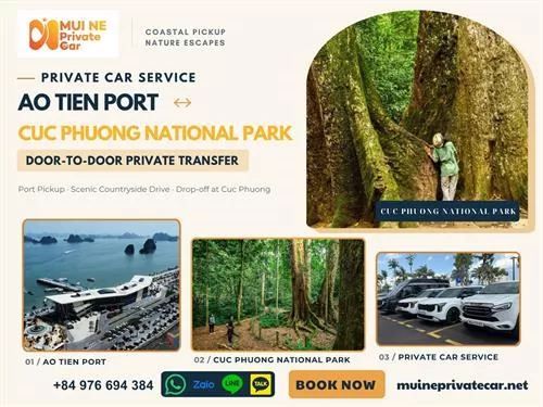 Ao Tien Port to Cuc Phuong Private Car