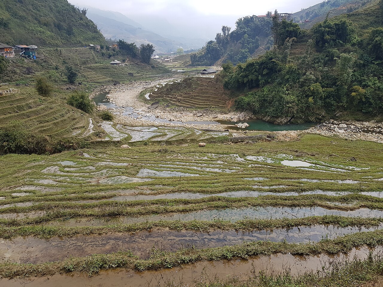 Muong Hoa Valley near Lao Chai village, Sapa
