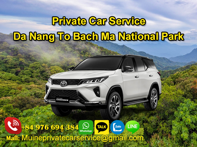 Private-Car-From-Da-Nang-To-Bach-Ma-National-Park