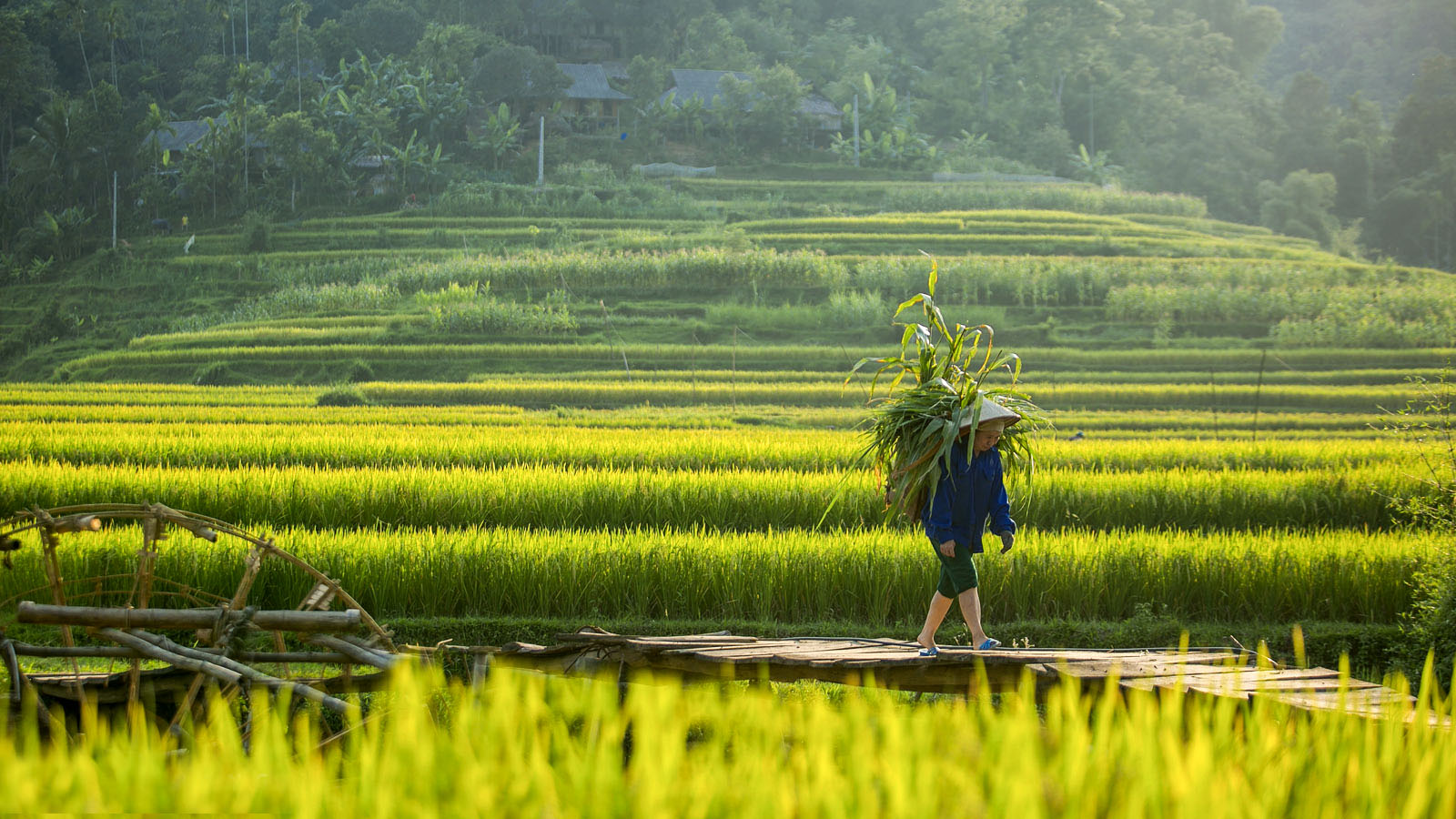 Ban Don Village Pu Luong
