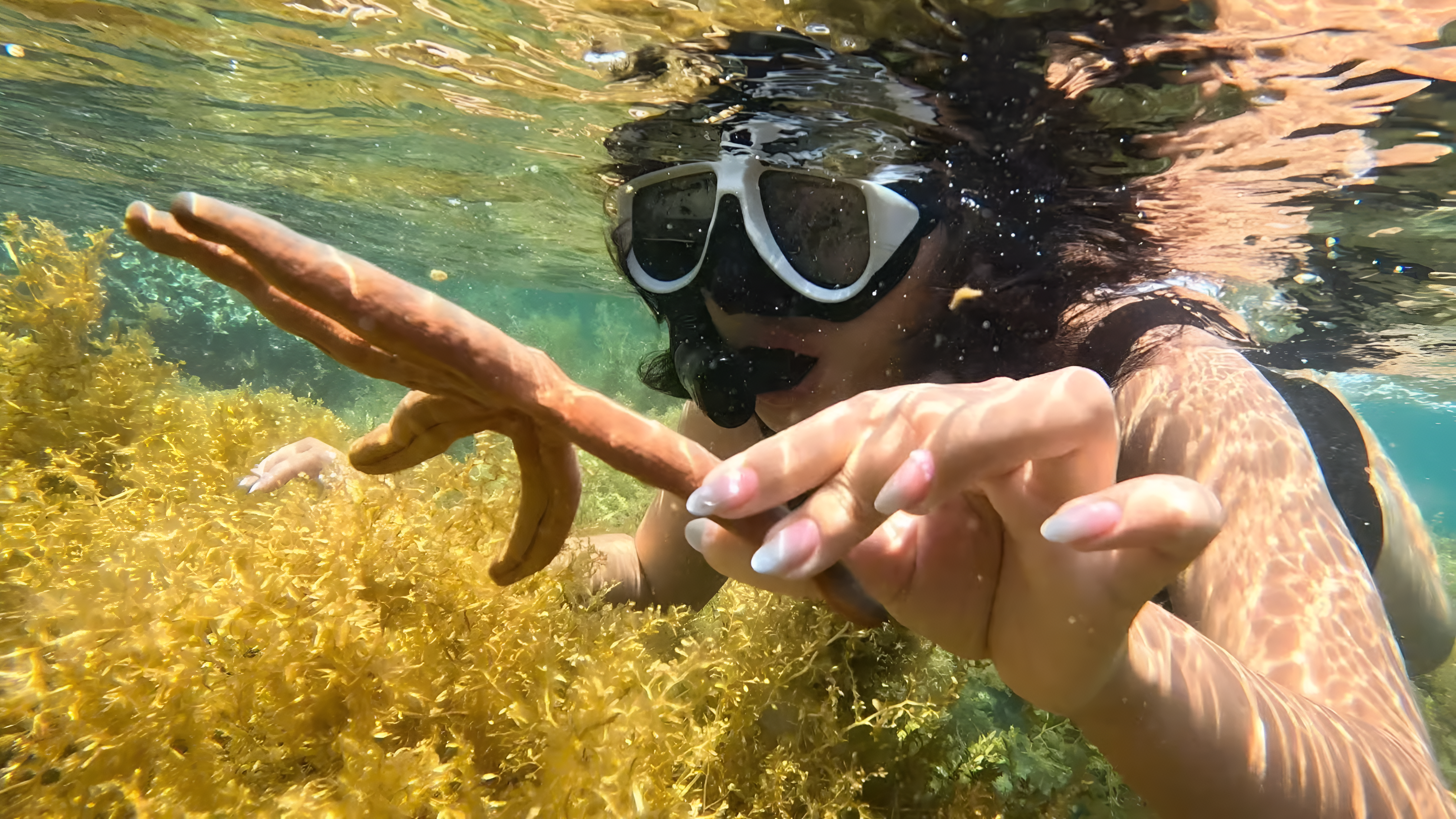 Snorkeler reaching toward marine life underwater
