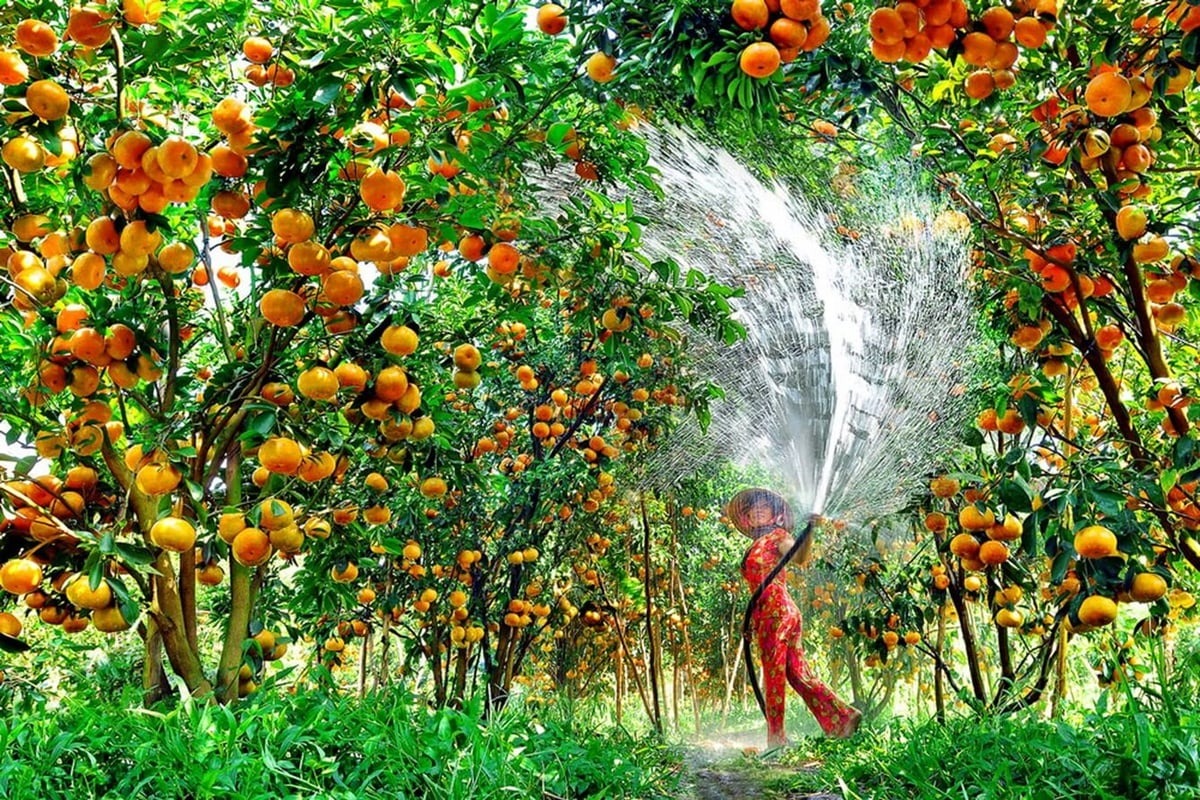 Direct hotel drop-off in Ben Tre town or eco-resort