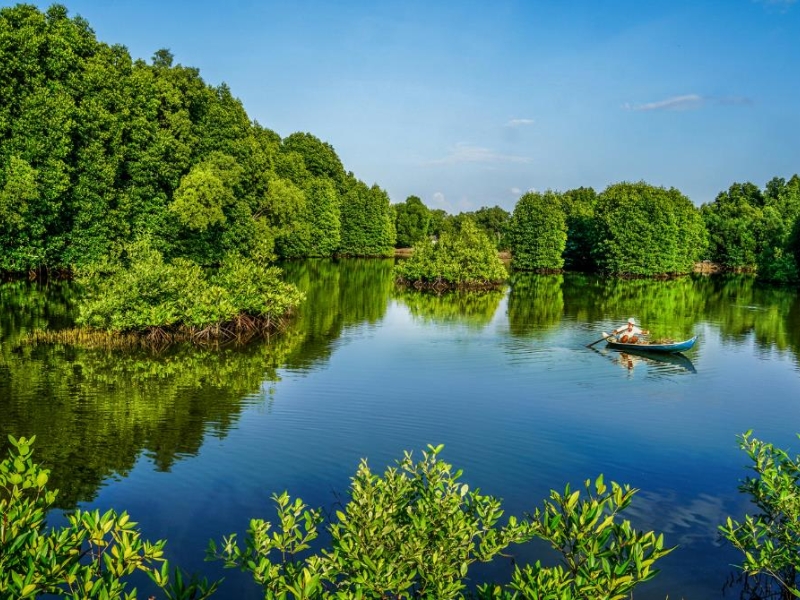 Ca Mau landscape