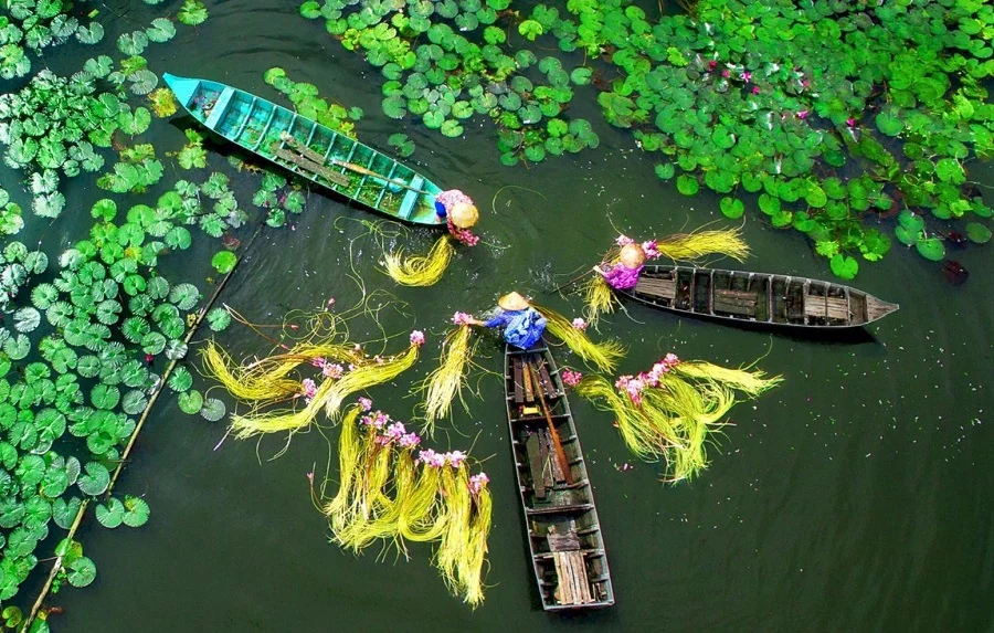 Ca Mau landscape