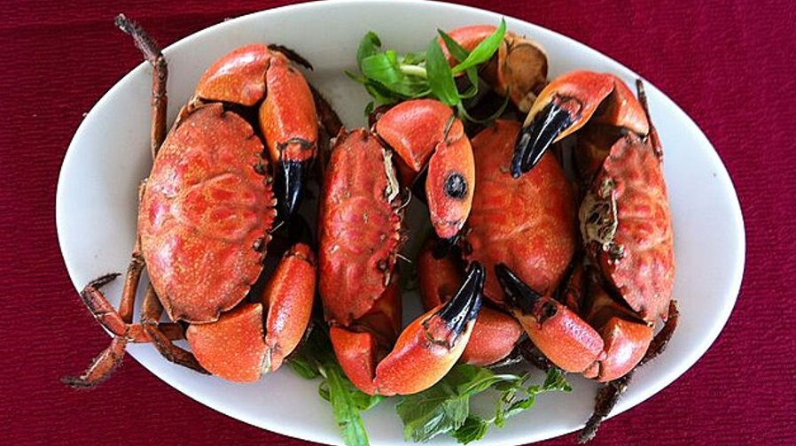 Van Don Seafood Cuisine