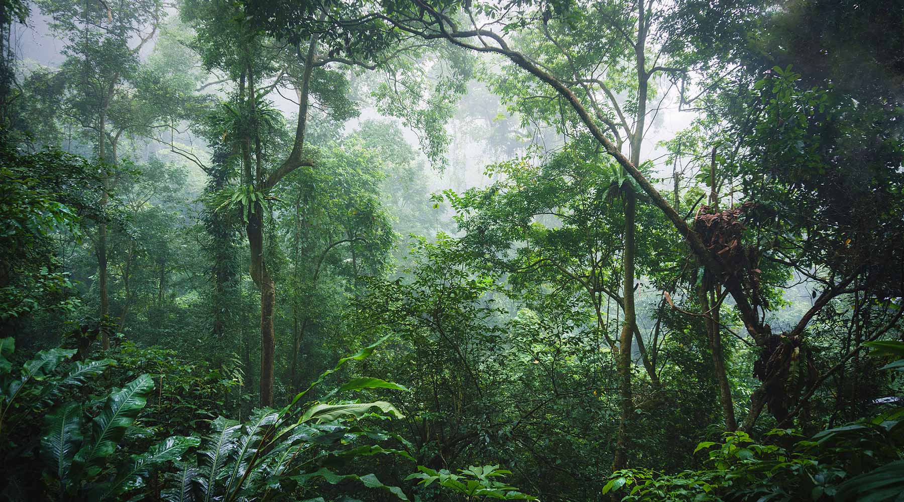 Scenic private car drive from Mai Chau to Cuc Phuong National Park