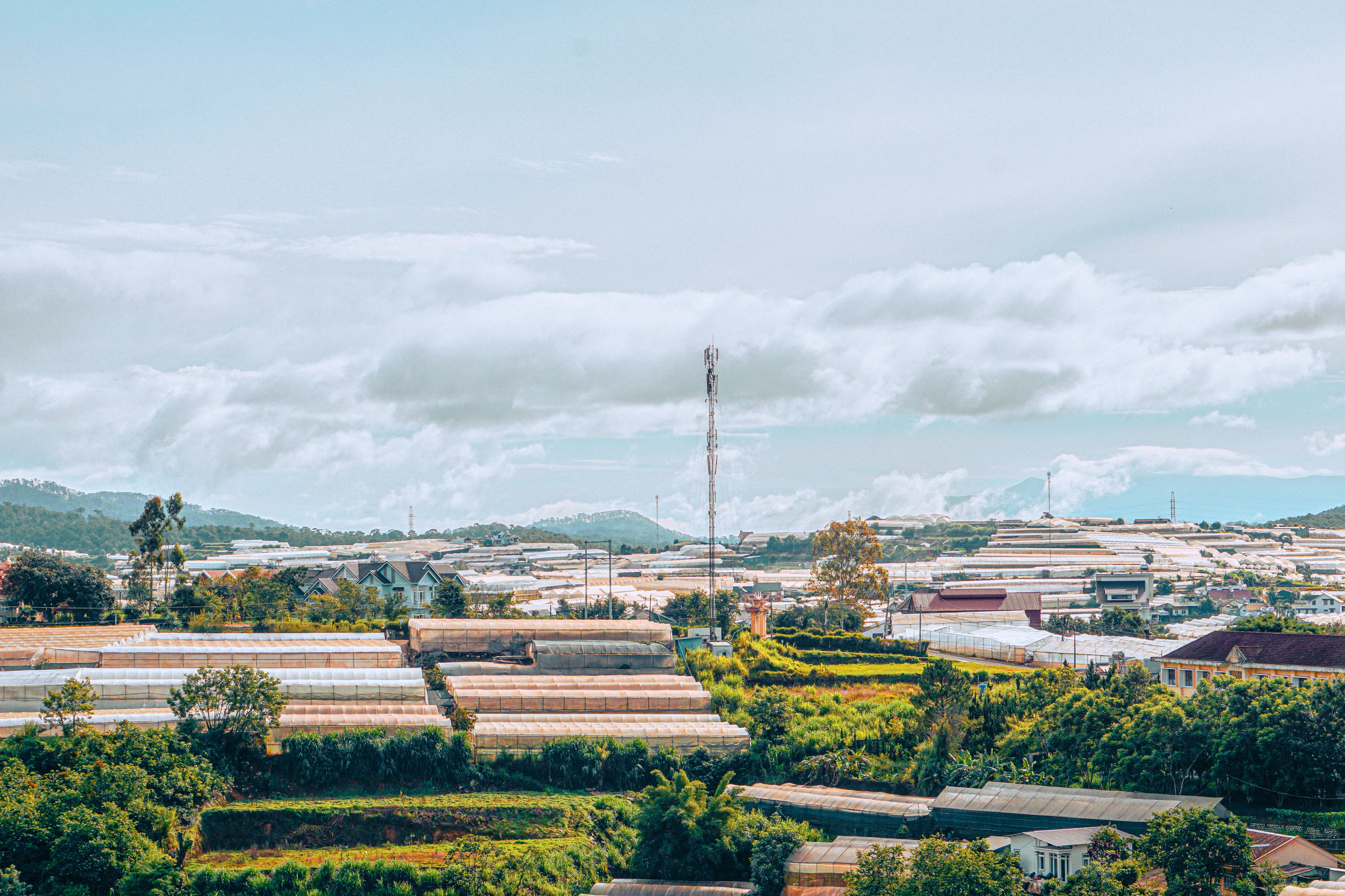 Private car transfer from Vinh Long to Da Lat