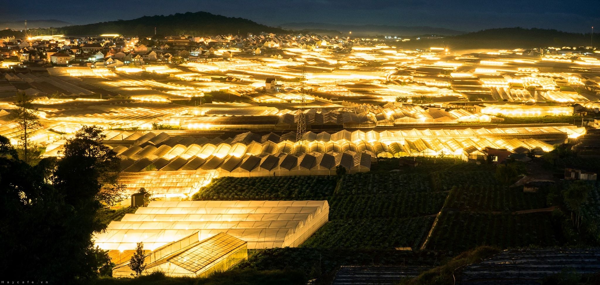 Da Lat City Center View