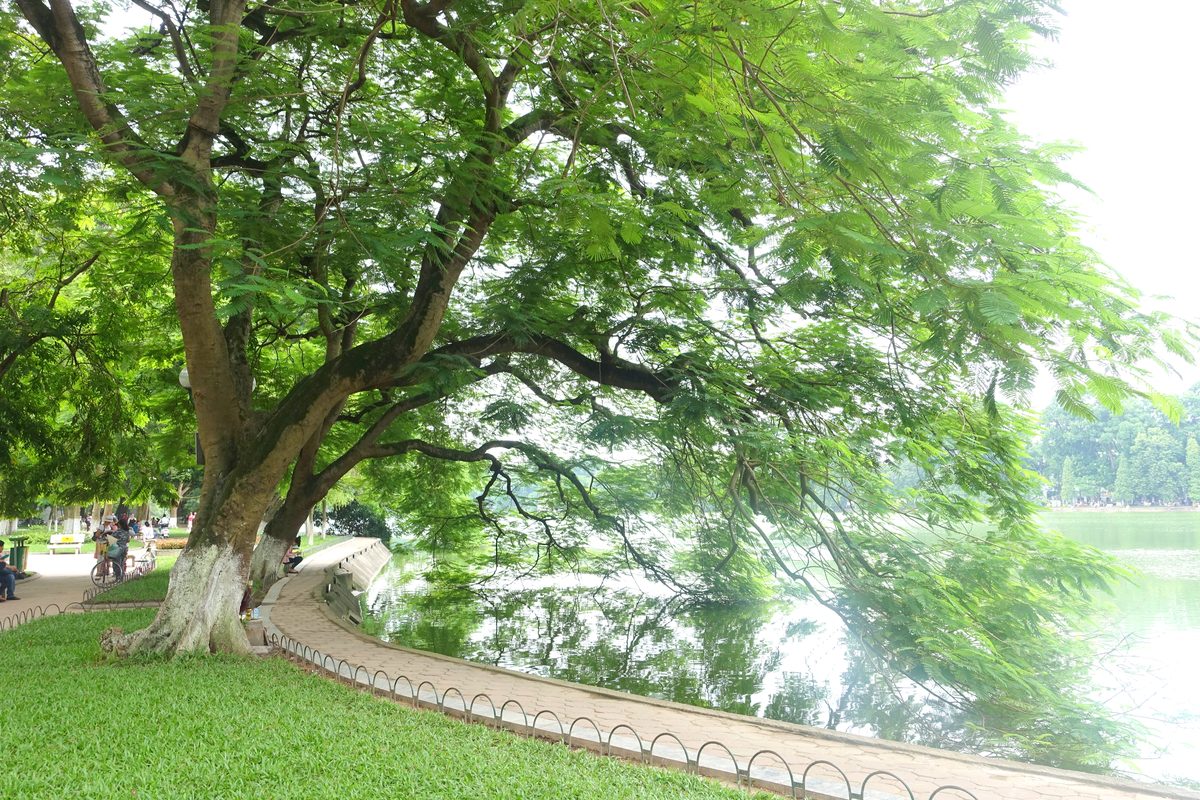 Hoan Kiem Lake, Hanoi