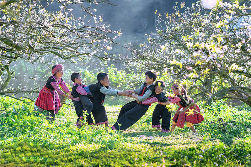 Ha Noi to Moc Chau private car journey