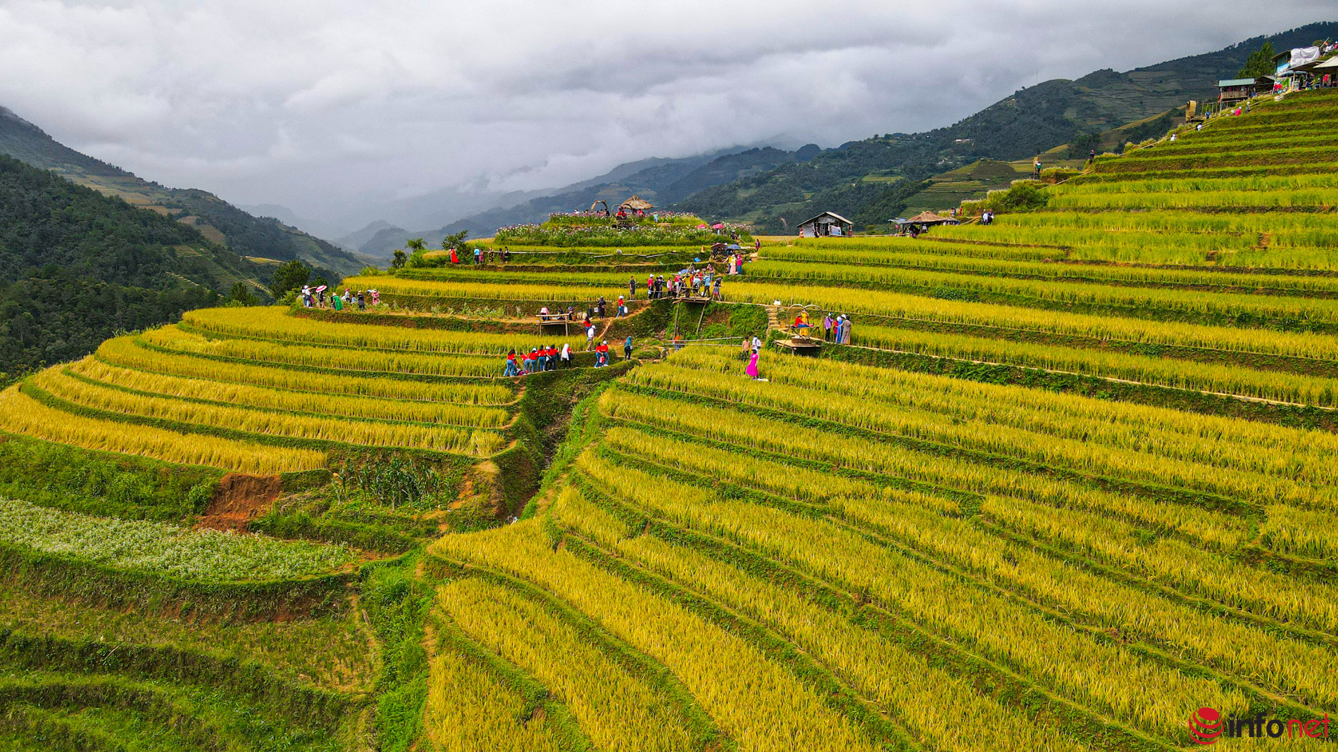 Mu Cang Chai rice terraces – private car transfer from Sapa