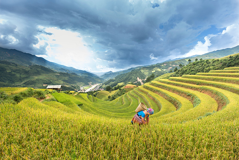Ha Noi to Mu Cang Chai scenic private transfer