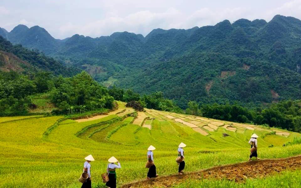 Guaranteed Punctual Flight Connection from Pu Luong to Cat Bi Airport