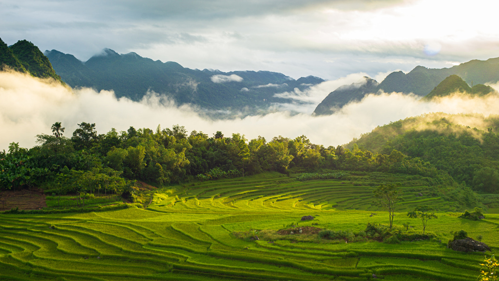 Guaranteed Punctual Flight Connection from Pu Luong to Noi Bai Airport