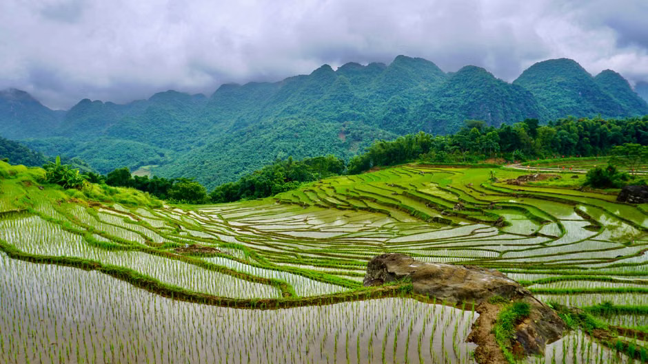 Rice terraces in Pu Luong Nature Reserve at the start of the Pu Luong to Ha Giang private car transfer
