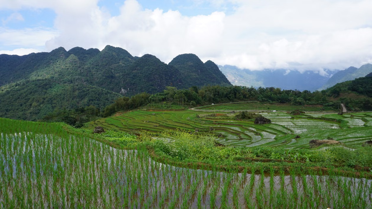 Rice terraces in Pu Luong Nature Reserve at the start of the Pu Luong to Cao Bang private car transfer