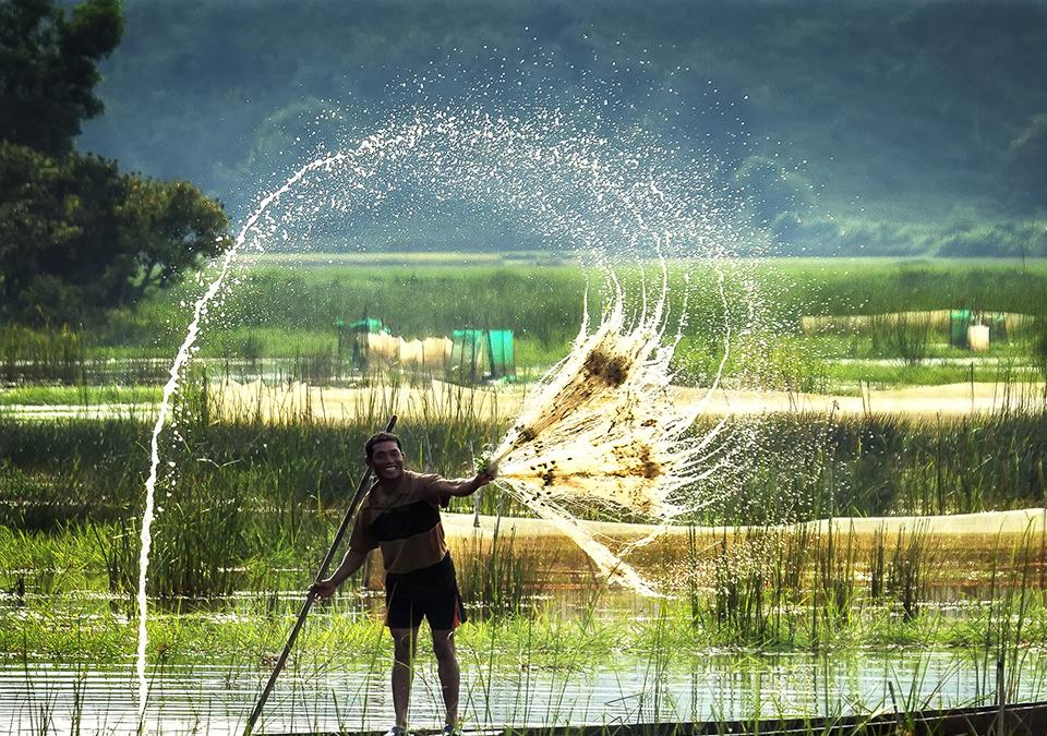 Mekong Delta Landscape