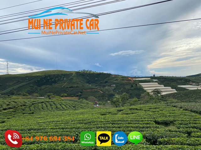 nha-trang-to-dalat-transfer-service