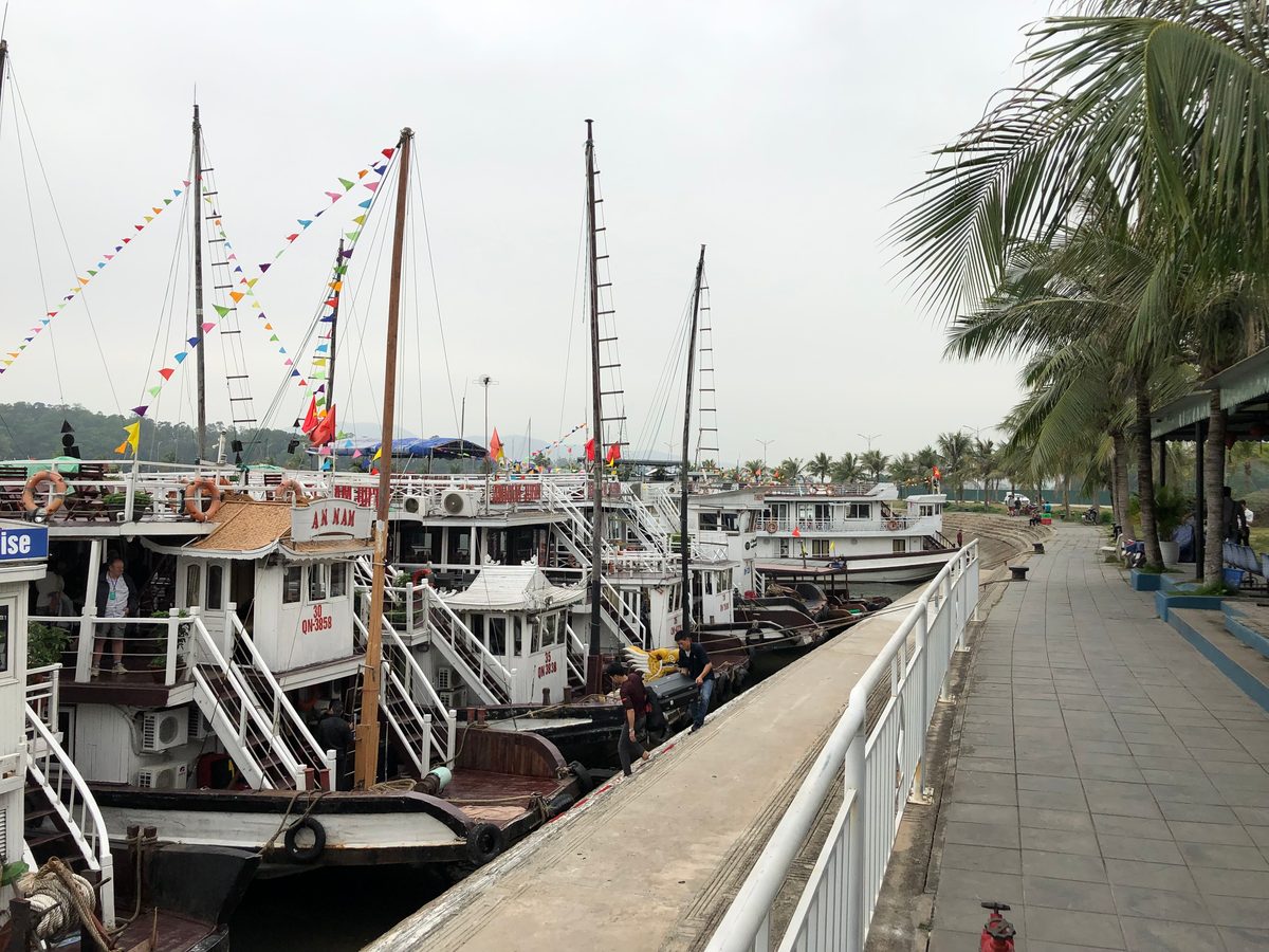Cruise boats at Tuan Chau Harbor, Halong Bay