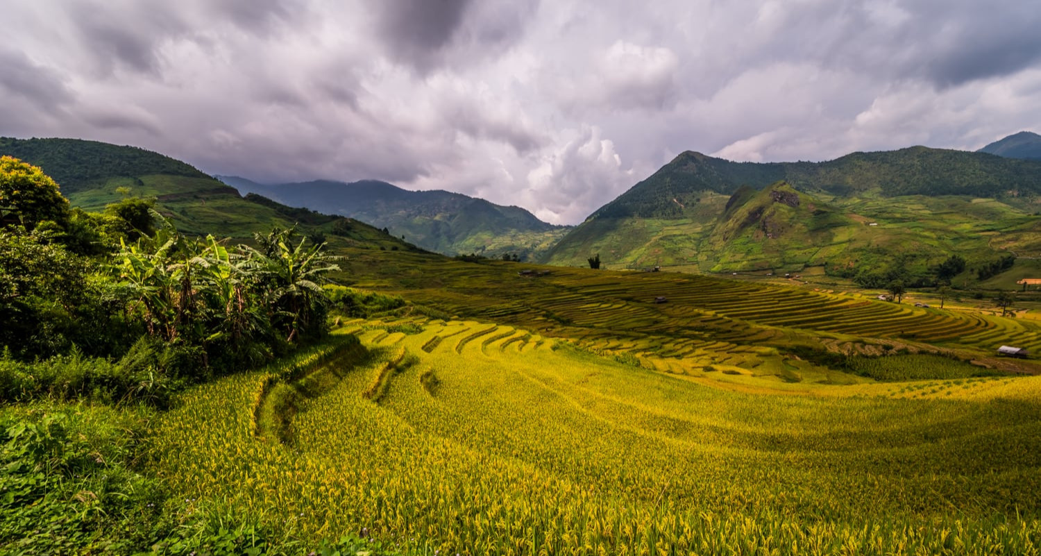 Van Chan cinnamon and tea hills along QL32 – Nghia Lo to Yen Bai