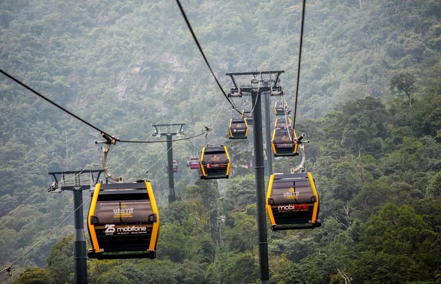 Yen Tu Mountain Forest